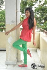 Swetha Jadhav at Inka Emi Anukoledu Press Meet